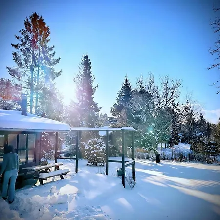 Sort Traehus Midt I Skoven Naer Stubbe So Ferienhaus *